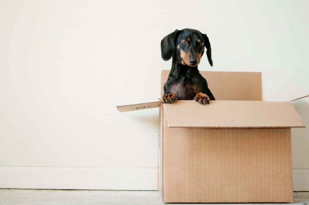 Why Moving Out is a Big Divorce Mistake in New Mexico