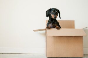 relocation-move-aways-divorce-cases-albuquerque-nm