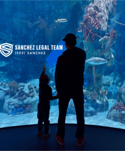 how-family-courts-decide-child-support-and-violations